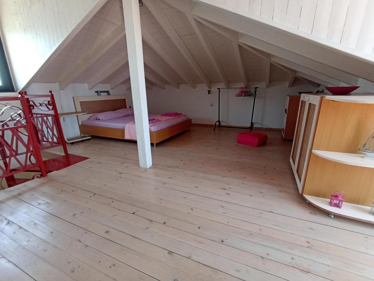 Olgas Villa Arogi Kültér fotó